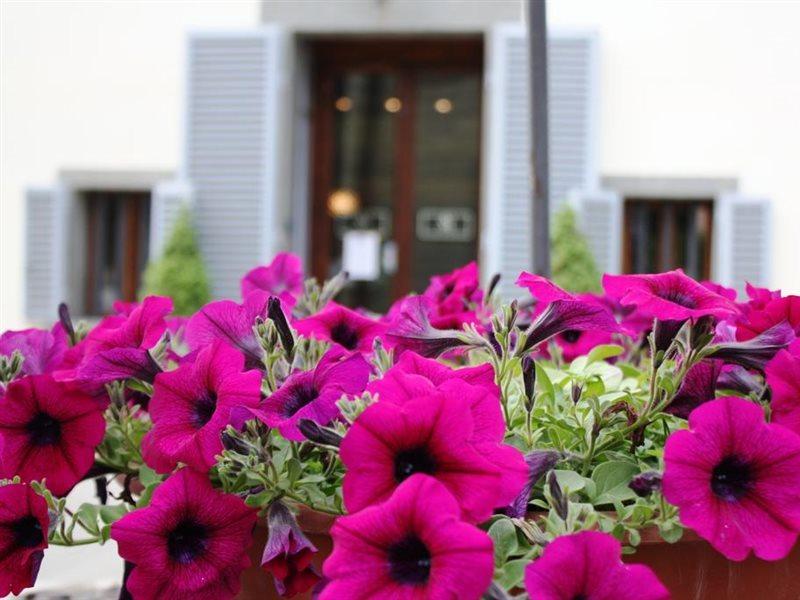 Villa Montarioso Siena Dış mekan fotoğraf