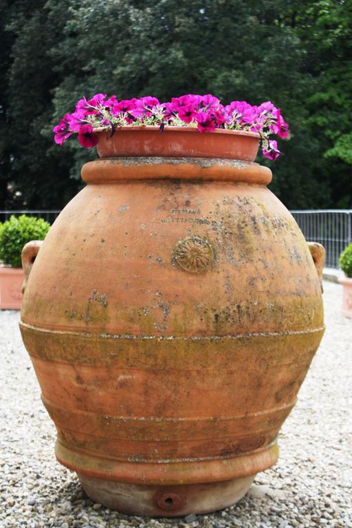 Villa Montarioso Siena Dış mekan fotoğraf