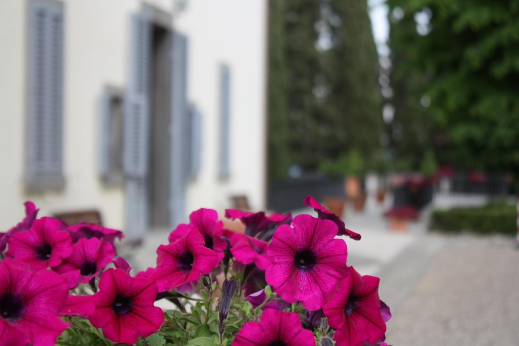 Villa Montarioso Siena Dış mekan fotoğraf