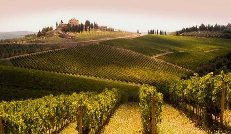 Villa Montarioso Siena Dış mekan fotoğraf