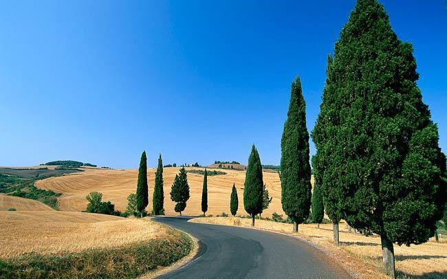 Villa Montarioso Siena Dış mekan fotoğraf